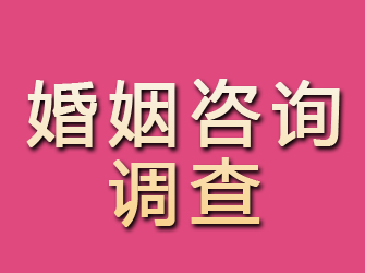 额敏婚姻咨询调查